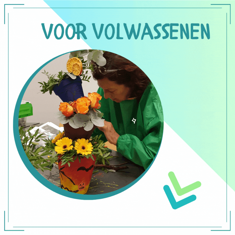 voor volwassene